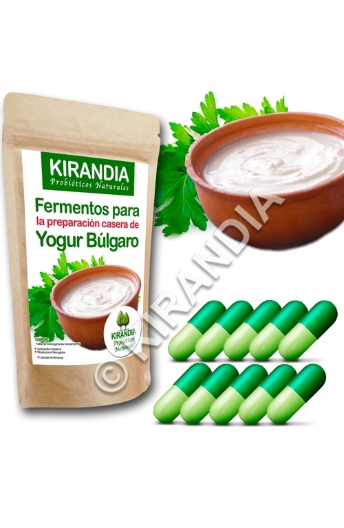 Fermentos Yogur Búlgaro (10 Cápsulas) - especial YOGURTERAS - KIRANDIA - La  tienda del kombucha